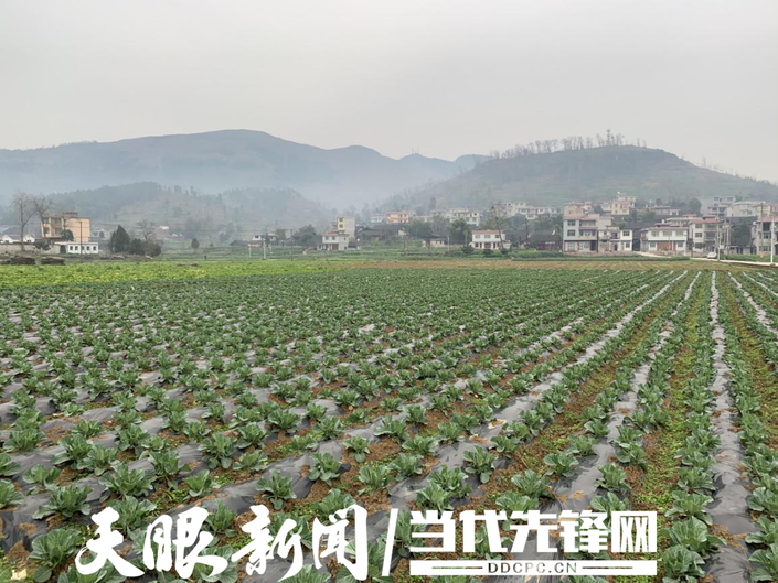 （社会）思南许家坝：战“疫”进行时 坝上迎“春天”