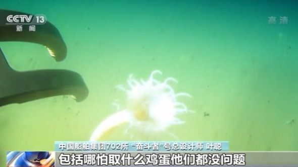 到家啦！“奋斗者”号上岸“体检”  潜航员带你进舱体验