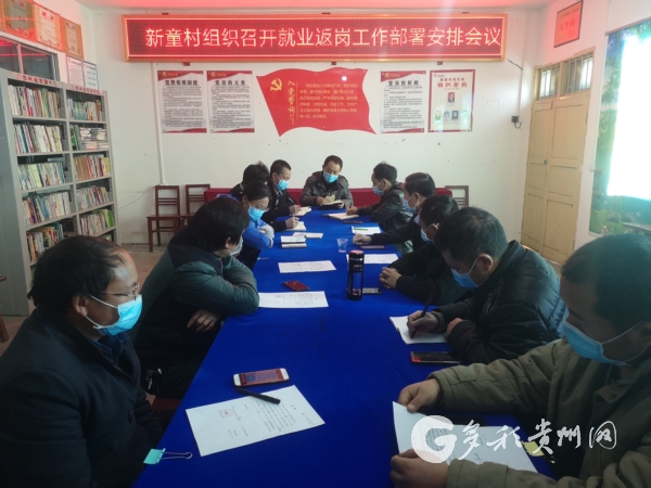 （社会）贞丰：小队伍发挥大作用 防疫和生产双促进