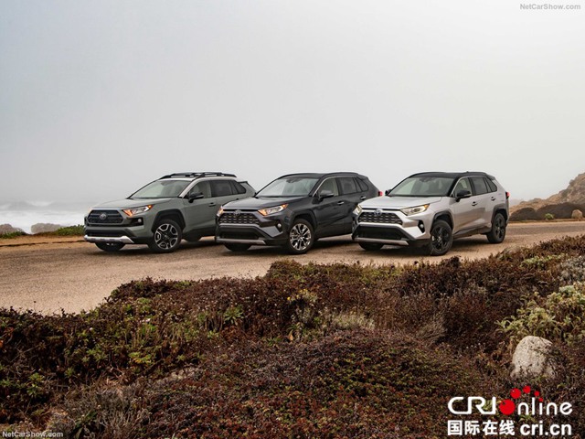 图片默认标题_fororder_Toyota-RAV4-2019-1024-2b