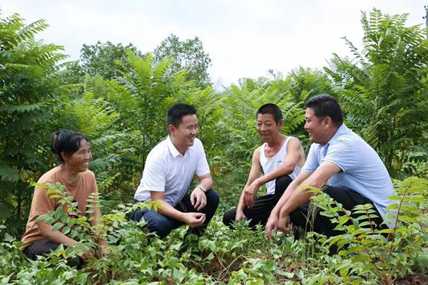 达州大竹县：党建引领脱贫攻坚的“复兴村实践”