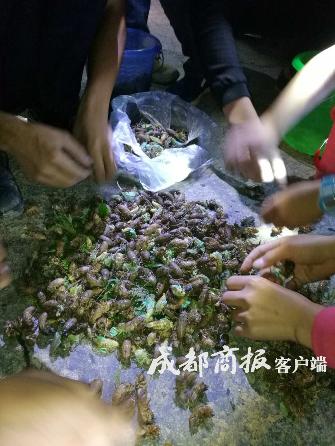 图片默认标题_fororder_893DEE54CE2ED49C80149503584FFE7E28F6AAE5_size314_w1080_h1440