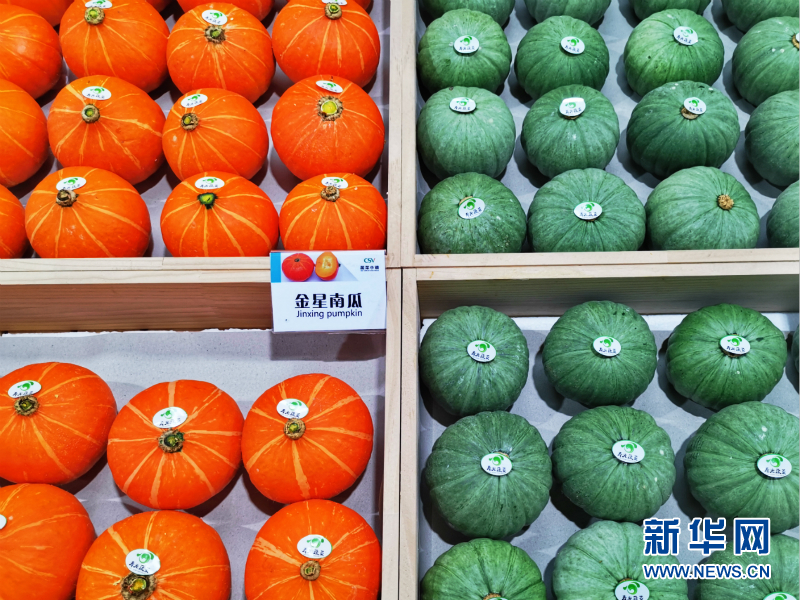 蔬菜总动员，挑战报菜名！这些蔬菜你认识几个？