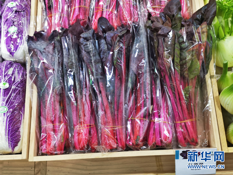蔬菜总动员，挑战报菜名！这些蔬菜你认识几个？