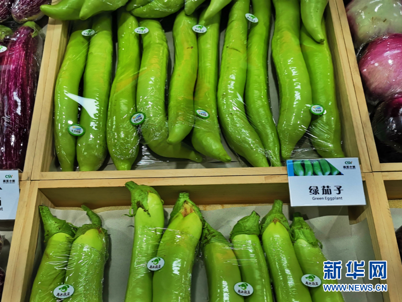 蔬菜总动员，挑战报菜名！这些蔬菜你认识几个？