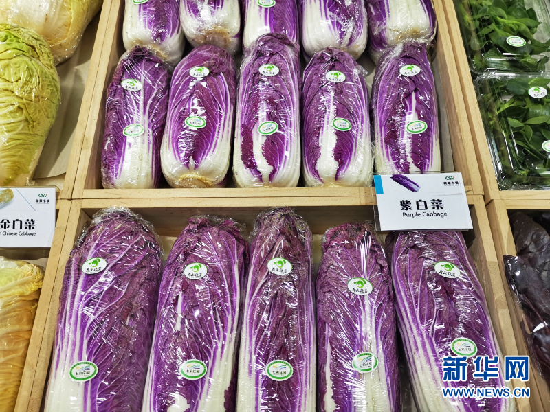 蔬菜总动员，挑战报菜名！这些蔬菜你认识几个？