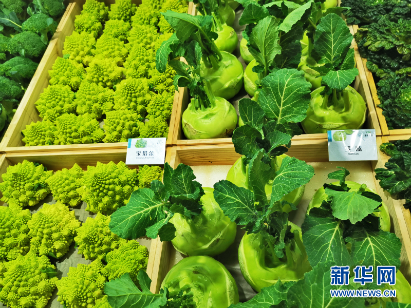 蔬菜总动员，挑战报菜名！这些蔬菜你认识几个？