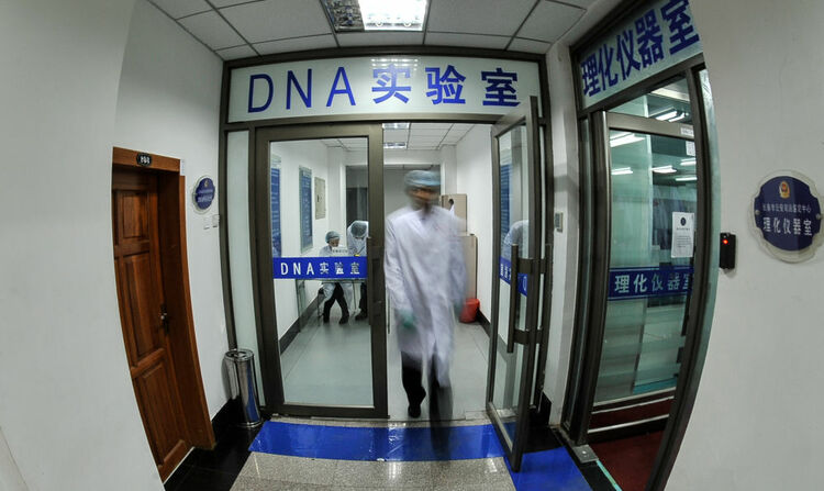 破案惩凶铸正义——全国公安机关推进命案积案攻坚行动纪实