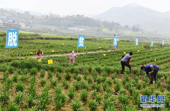（要闻）确保不误农时，保障夏粮丰收 ——各地抓好春耕生产在行动