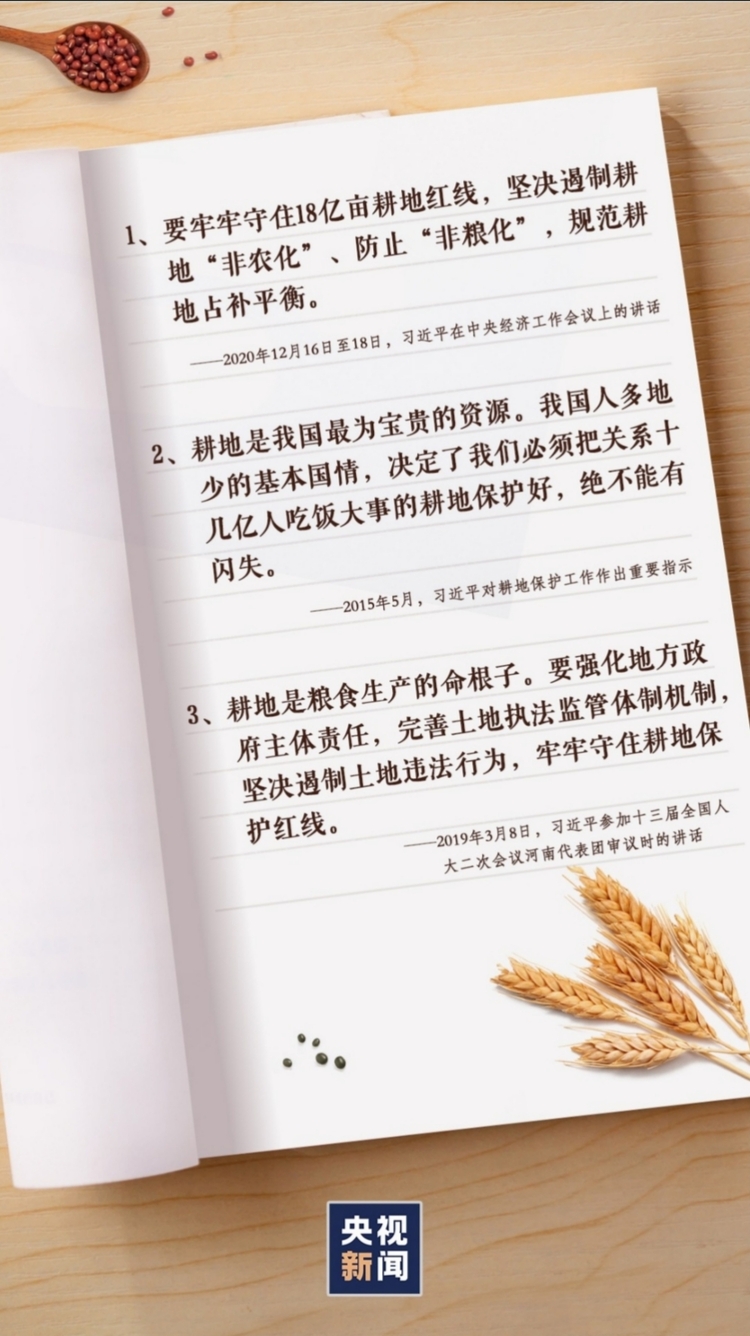 “粮”言金句！端好“中国饭碗”，习近平这样强调