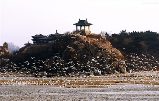 图片默认标题_fororder_1