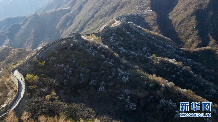 春到慕田峪