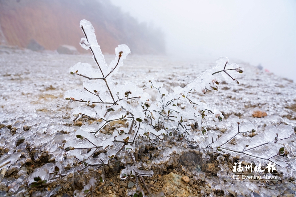 宛若冰雪仙境！闽侯大湖雪峰村现雨凇景观