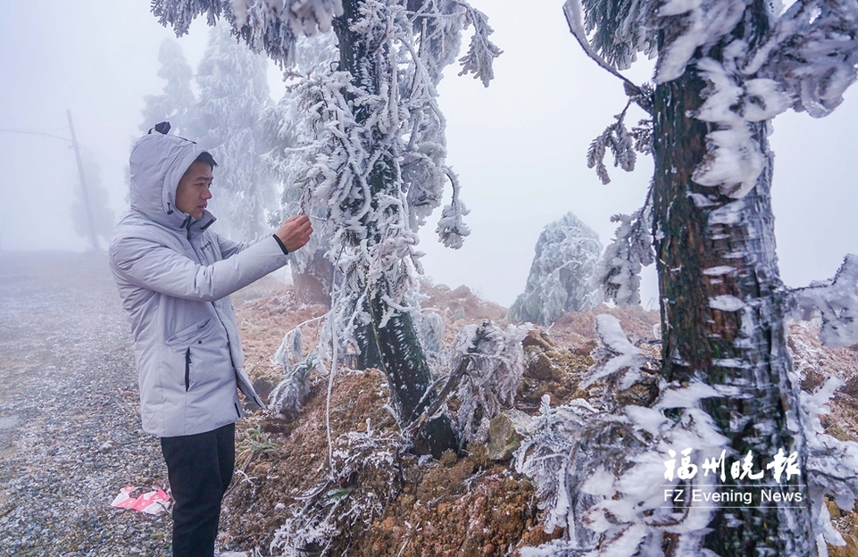 宛若冰雪仙境！闽侯大湖雪峰村现雨凇景观