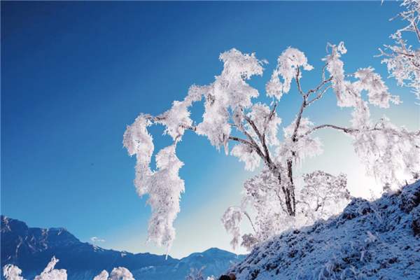 阿坝茂县九鼎山：“滑”走严寒 邂逅冰雪奇缘