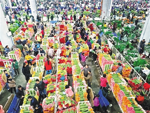 花卉离“日常消费品”有多远（中首）（资讯）（财智推荐）