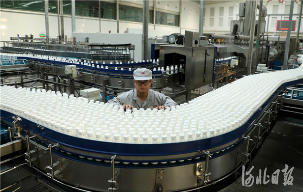 河北沧州：科技创新为食品产业提质增效