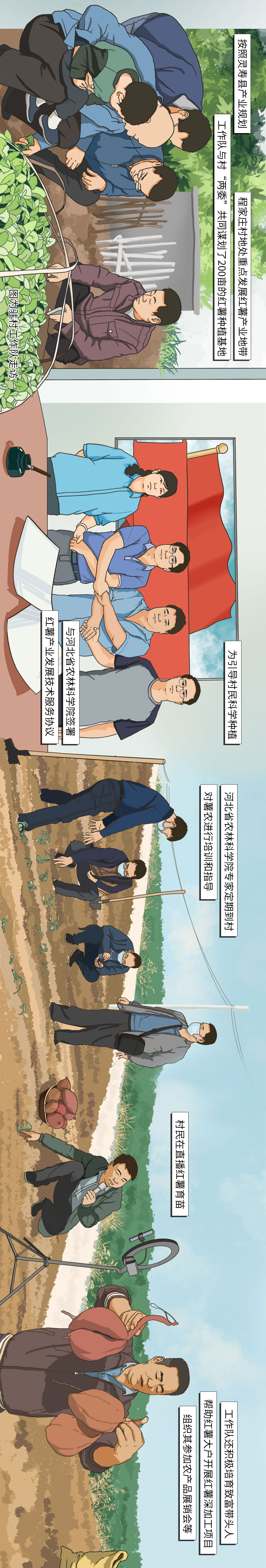 石家庄灵寿县程家庄村的“红薯脱贫路”_fororder_2 7e71f69d3a1821b71670687fc801eba