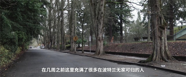 美国 记者回眸丨从波特兰到波特兰：2020年分裂的美国