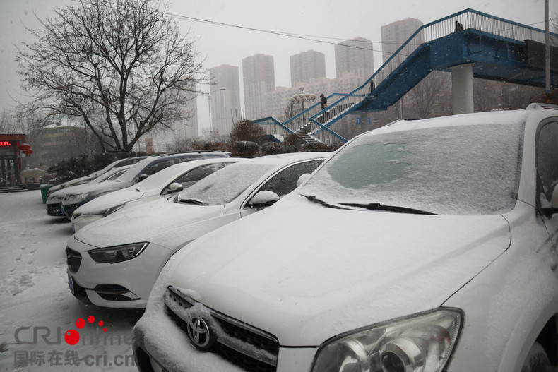 立春后沈阳迎来首场降雪