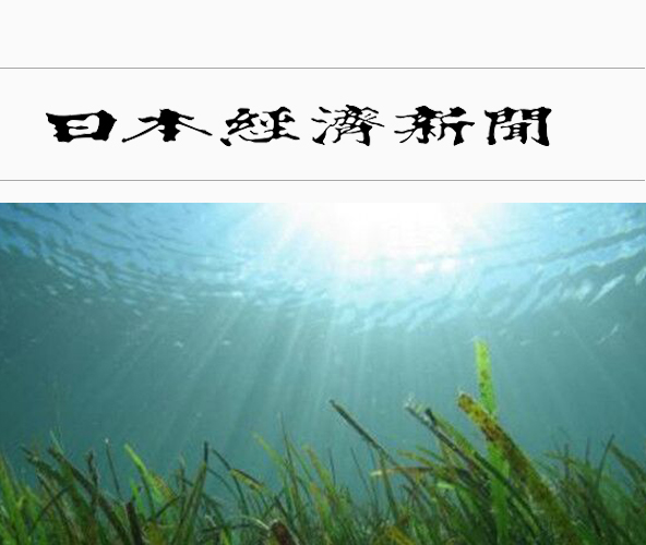 图片默认标题