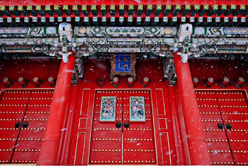 漫长的等待，你终于来了！盛京大美雪景 像极了爱情……
