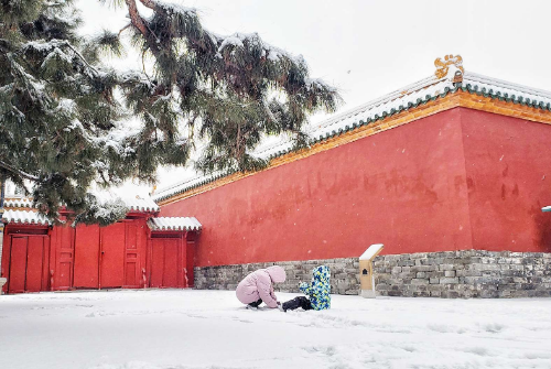 漫长的等待，你终于来了！盛京大美雪景 像极了爱情……