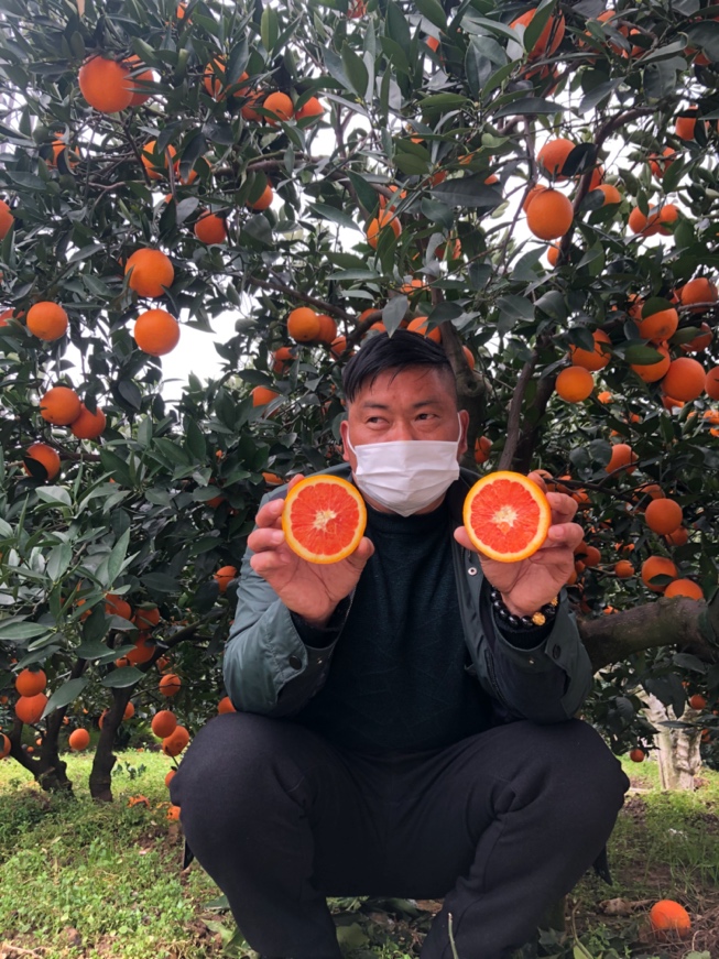 图片默认标题_fororder_2