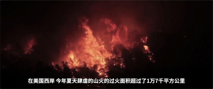美国 记者回眸丨从波特兰到波特兰：2020年分裂的美国