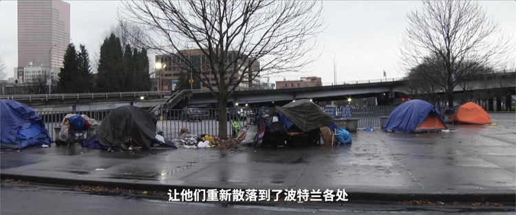 美国 记者回眸丨从波特兰到波特兰：2020年分裂的美国
