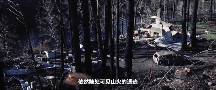 美国 记者回眸丨从波特兰到波特兰：2020年分裂的美国