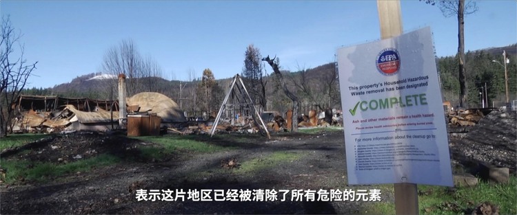 美国 记者回眸丨从波特兰到波特兰：2020年分裂的美国