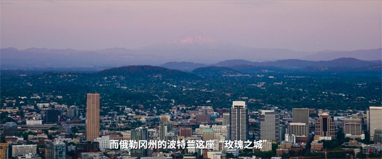 美国 记者回眸丨从波特兰到波特兰：2020年分裂的美国