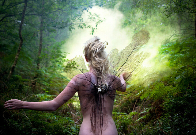英摄影师耗时6年打造梦幻仙境 秀大自然四季变换之美