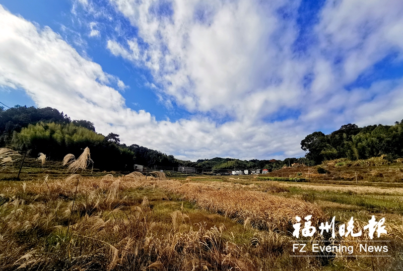 永泰樟洋村：御医故里 “鹿力”同兴