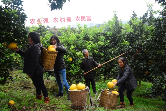 图片默认标题_fororder_ea29d693-bf1a-413a-83f5-b9352a914f85