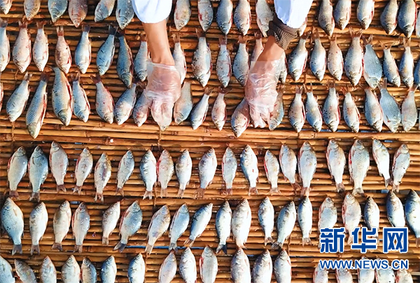河南商丘：入骨酥香一尾鱼