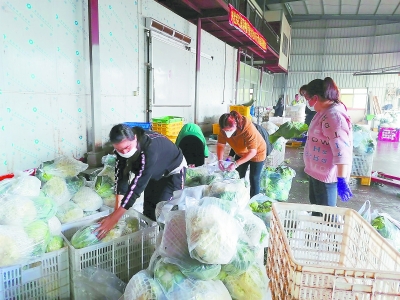 台胞志愿者：用爱心守护希望