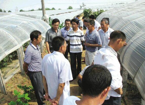 老农民如何变成“新农人”，山东这两地用上了新招