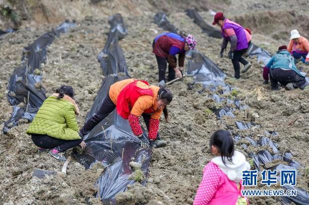 脱贫不能等靠要，每个人都该向前奔跑