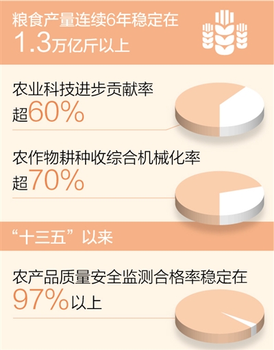 农业农村现代化迈上新台阶