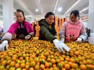 半月谈 ｜ 脱贫攻坚胜利后，扶贫政策何去何从？ 三大关键词读懂中央农村工作会议