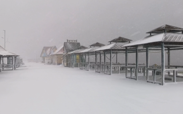 三大预警同时发布！威海市区、文登、荣成仍有大到暴雪