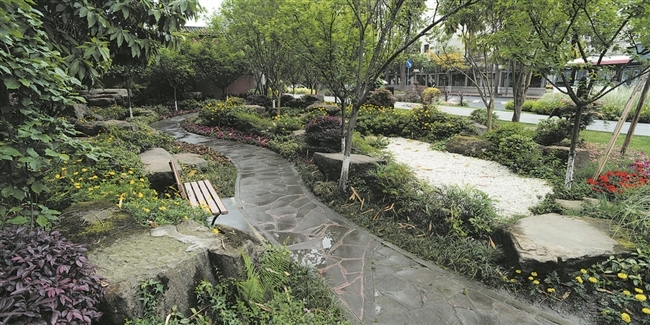 生态绿环 大美场景