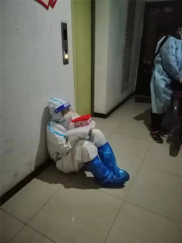 组图｜河北的冬天有你才暖！但这样的你让人心疼
