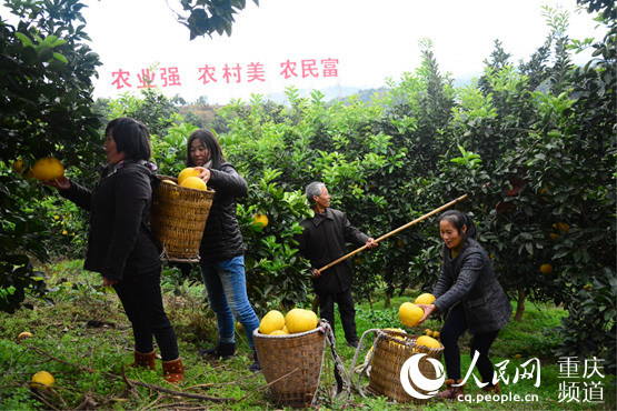 【区县联动】【梁平】梁平：龙滩村获评"重庆市绿色新村"