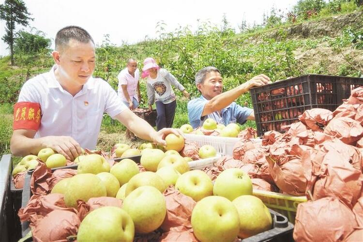 贵州：革命精神薪火传 踔厉风发再出发