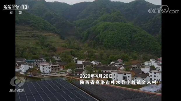 焦点访谈丨总书记以上率下做的这件事，向全社会做出了榜样！