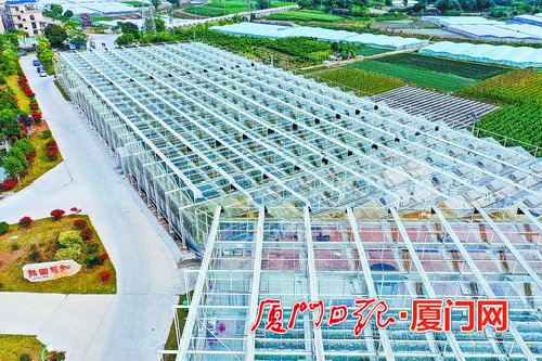 厦门高质量实施乡村振兴战略 典型经验在全省推广