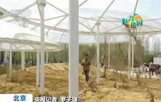 【魅力世园会】“三百园”之百草园 传播中医文化